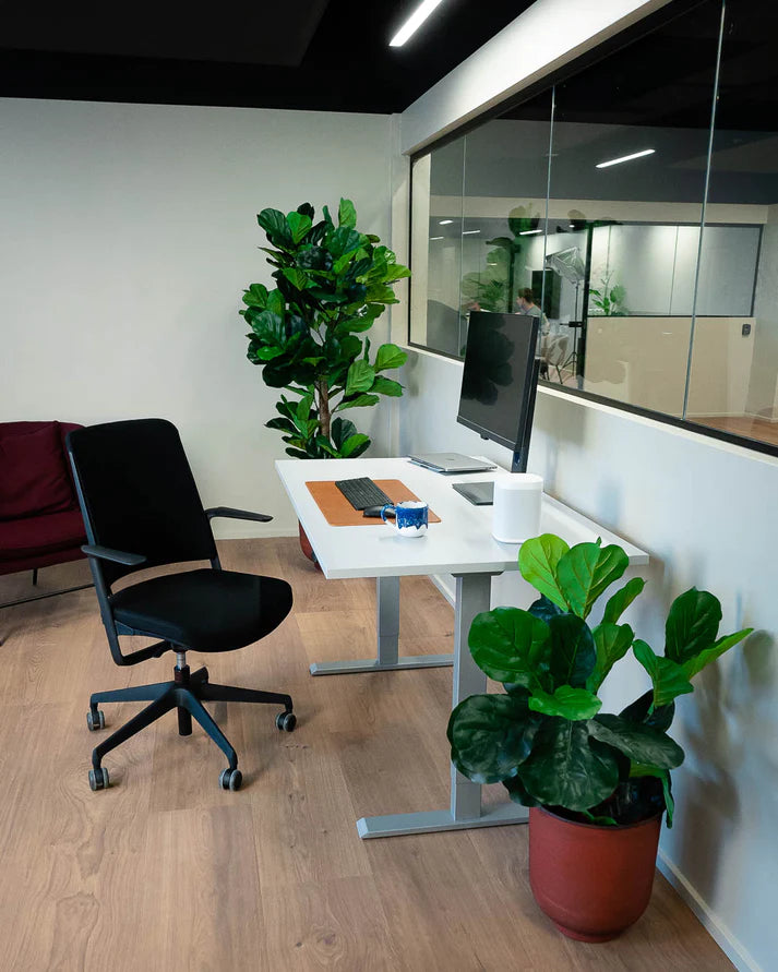 Komplet kontorsæt med frigg hæve sænkebord